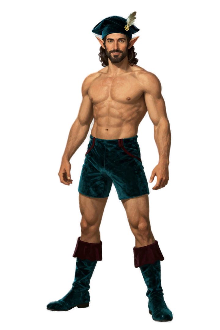 Example male Half Elf adventurer